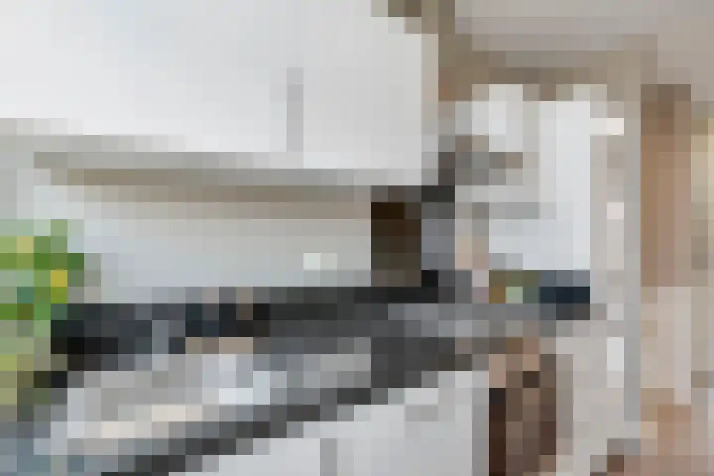 Barneveldstraat 65 Den Haag thumbnail 7