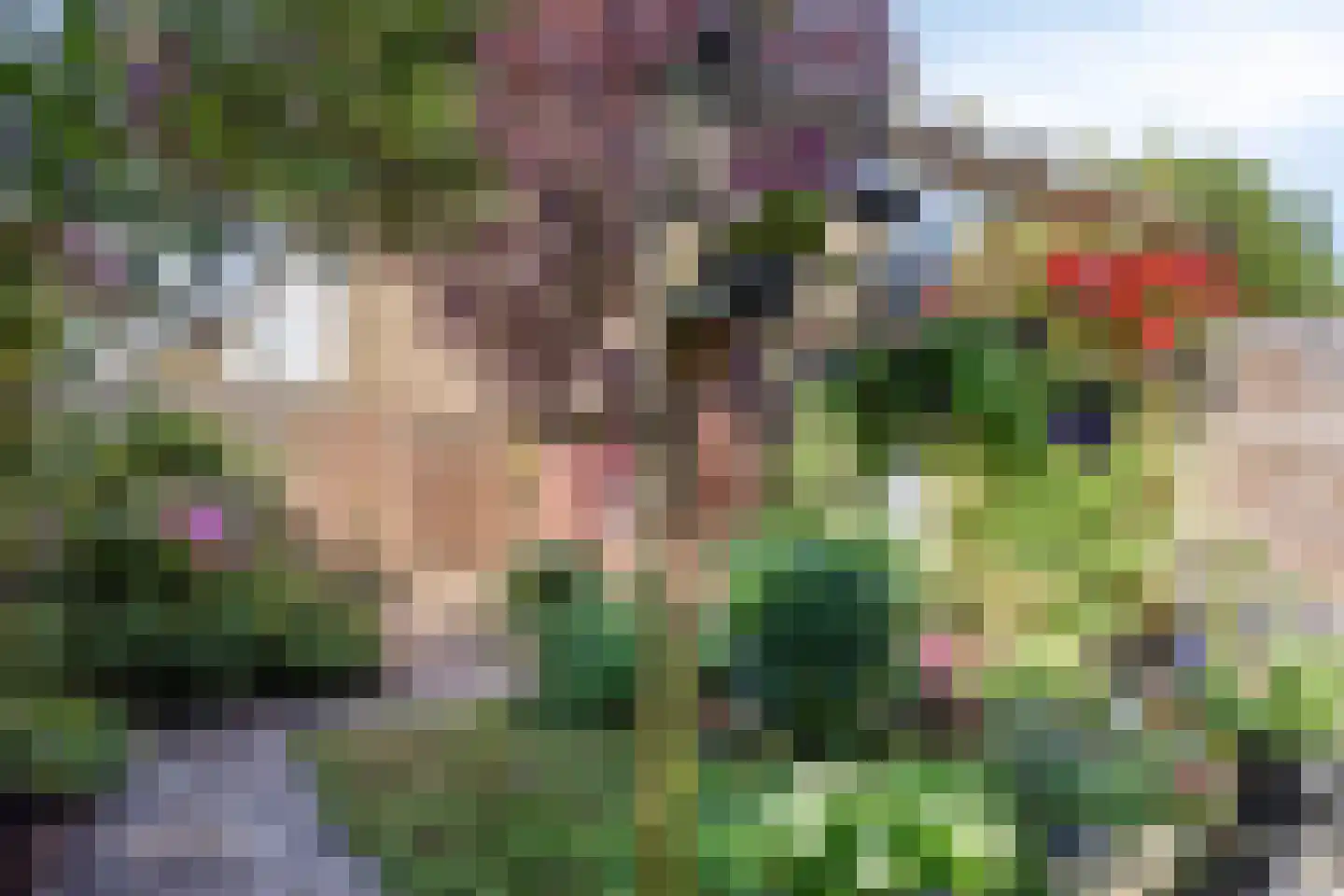 Barnewinkel 223 Apeldoorn thumbnail 36