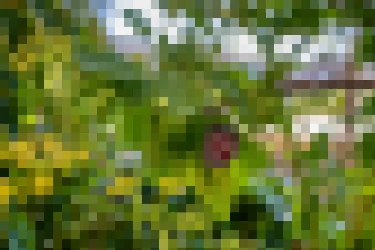 Barnewinkel 223 Apeldoorn thumbnail 40