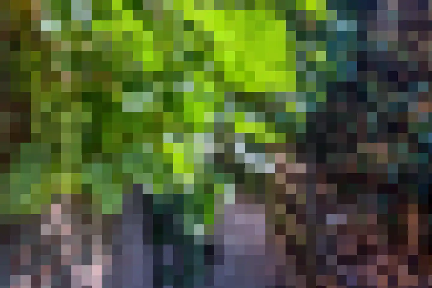 Barnewinkel 223 Apeldoorn thumbnail 41