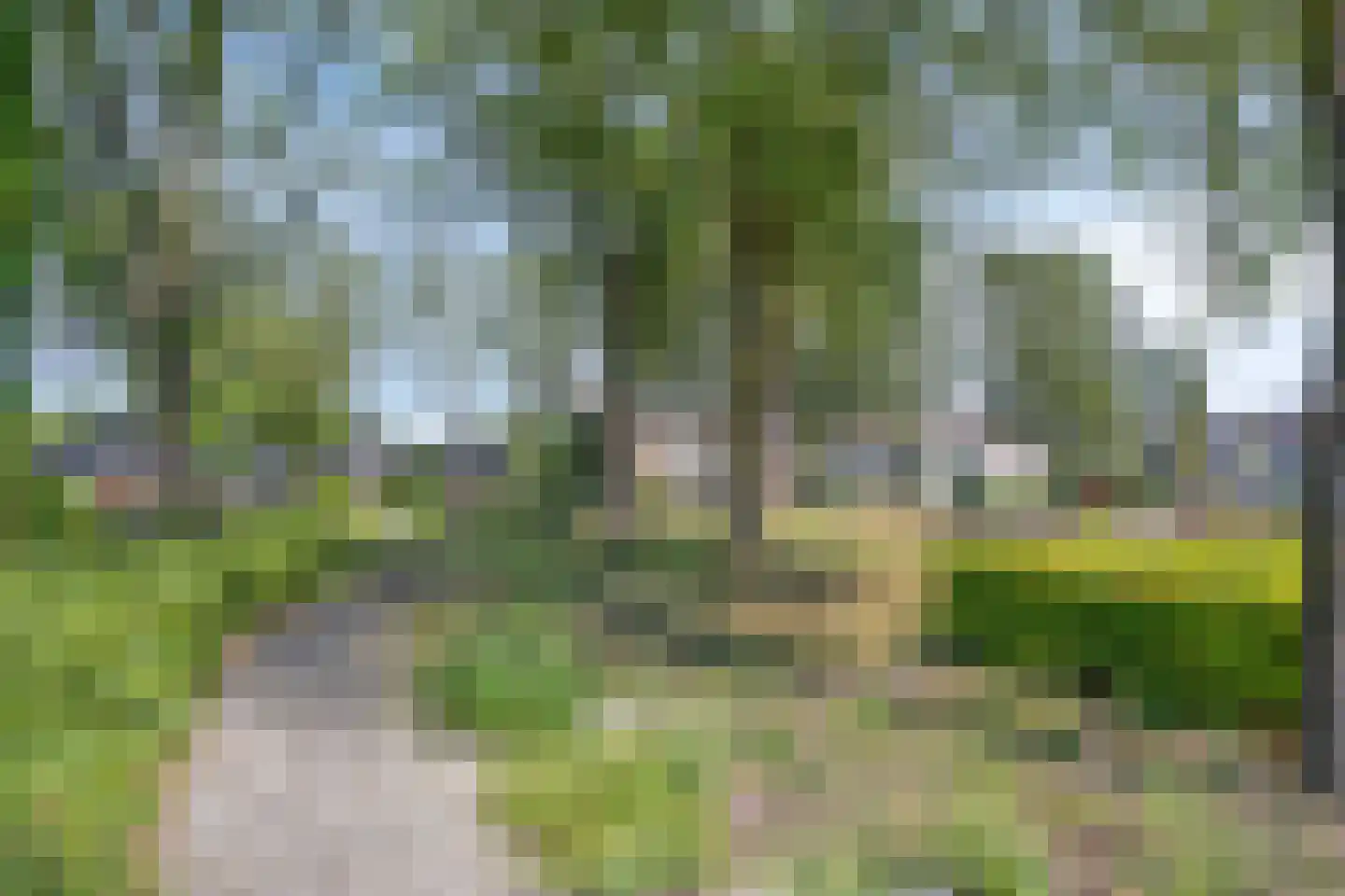 Barnewinkel 223 Apeldoorn thumbnail 44