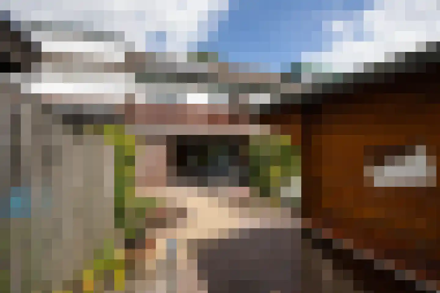 Barnewinkel 614 Apeldoorn thumbnail 28
