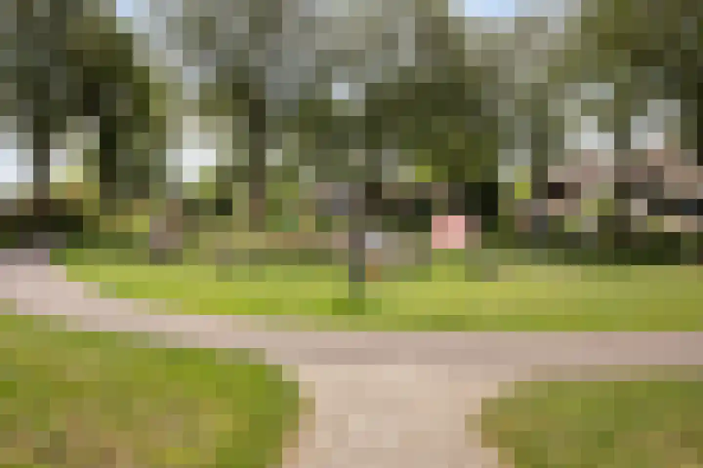 Barnewinkel 614 Apeldoorn thumbnail 31