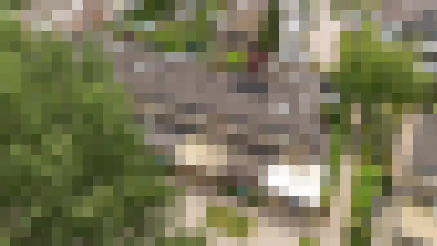 Barnewinkel 614 Apeldoorn thumbnail 33