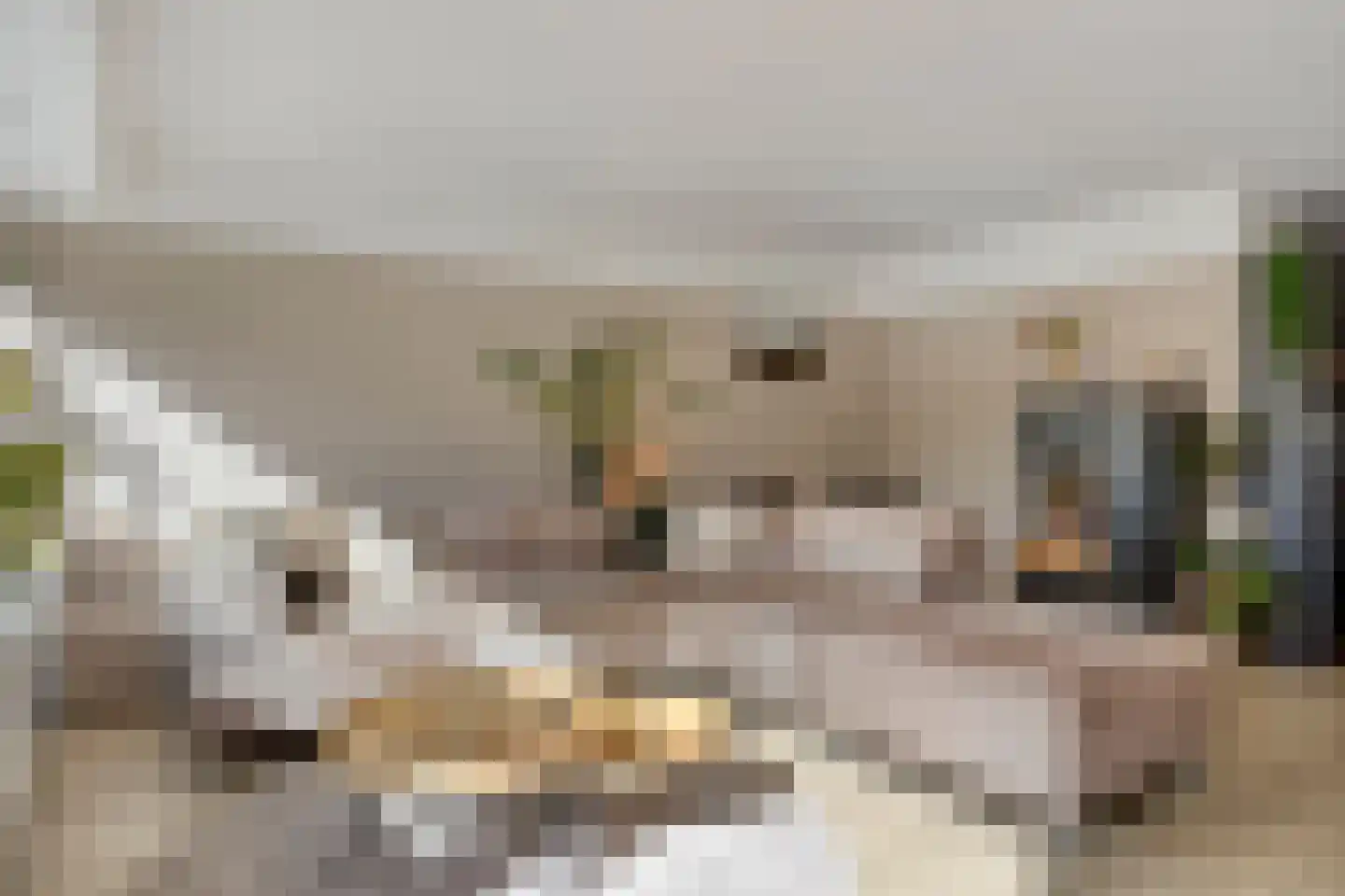 Barnewinkel 702 Apeldoorn thumbnail 15