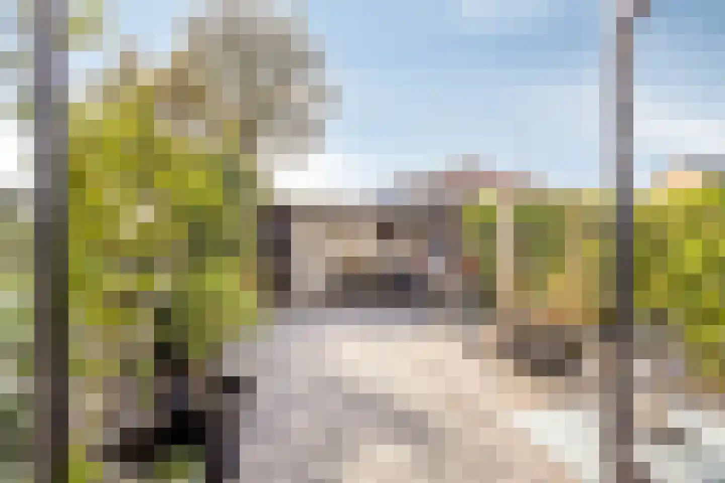 Barnewinkel 702 Apeldoorn thumbnail 17