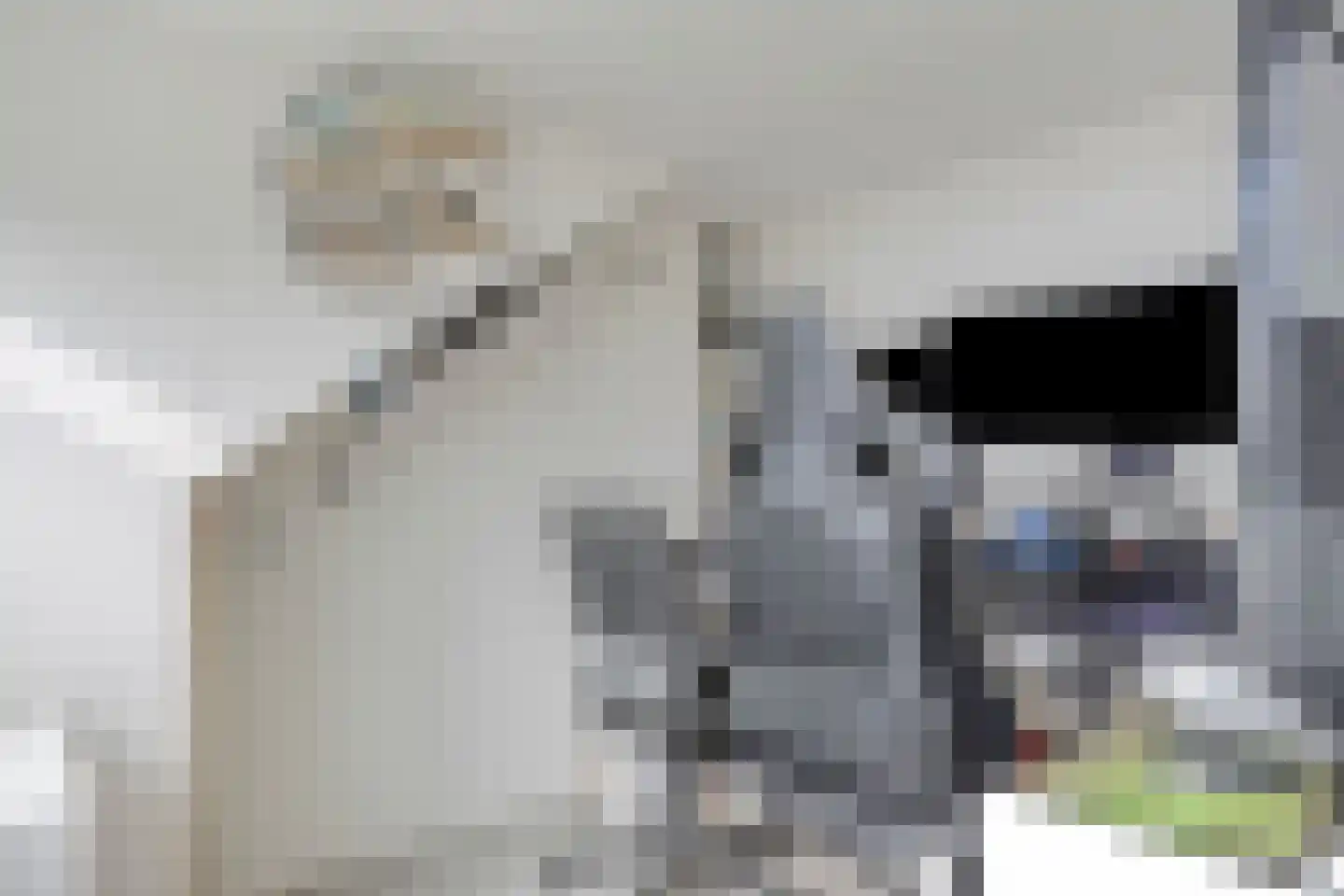Barnewinkel 702 Apeldoorn thumbnail 33