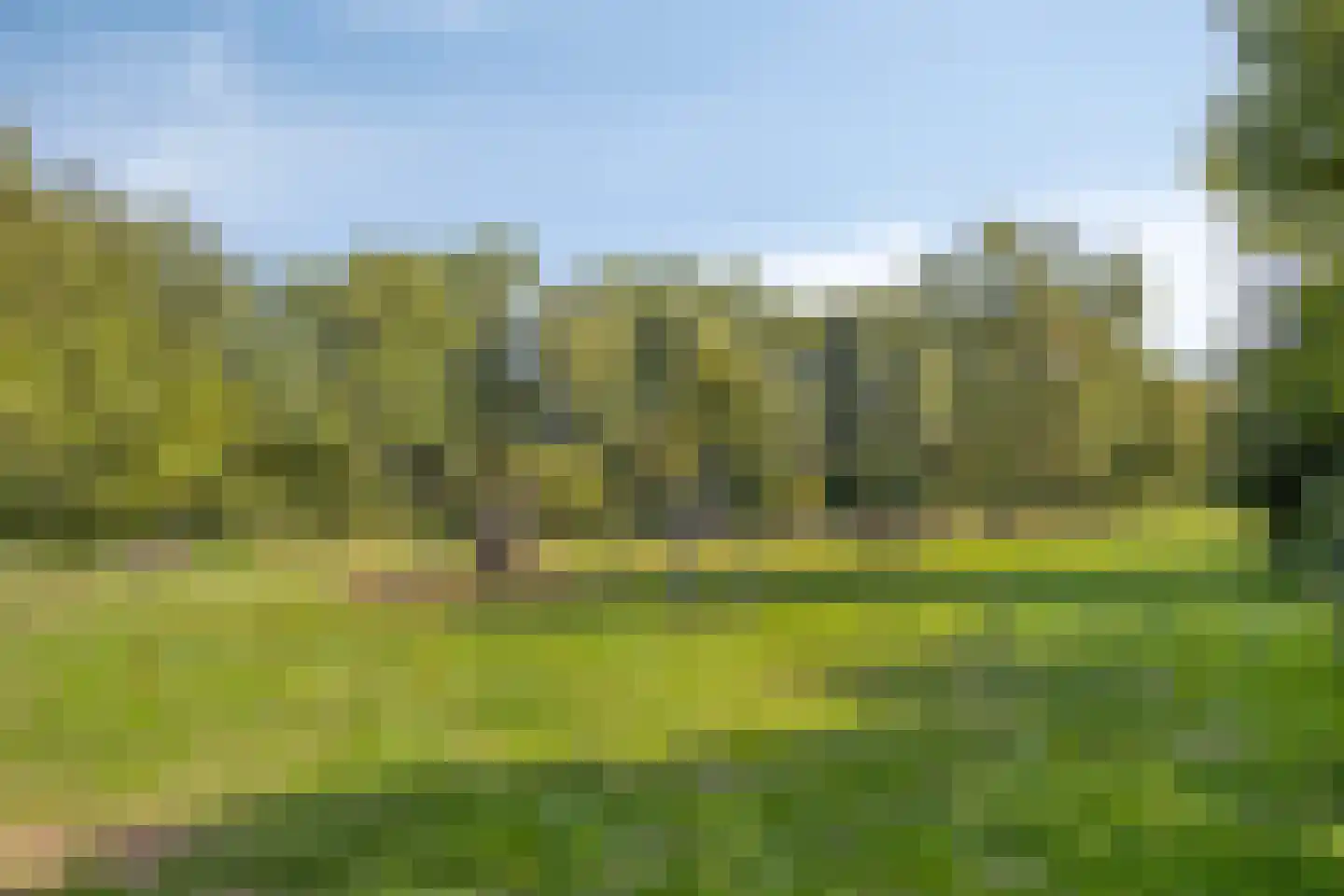 Barnewinkel 702 Apeldoorn thumbnail 34