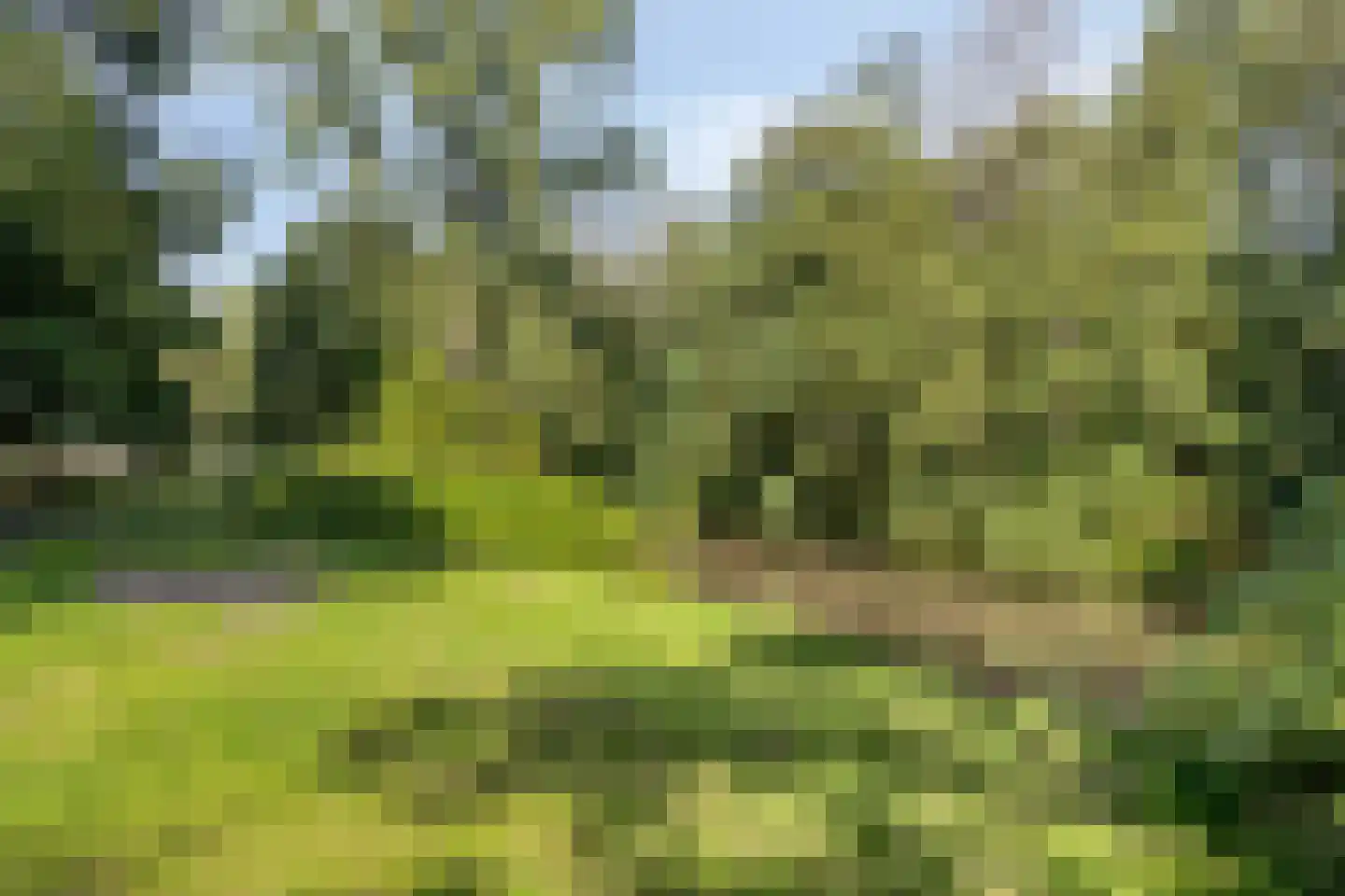 Barnewinkel 702 Apeldoorn thumbnail 35