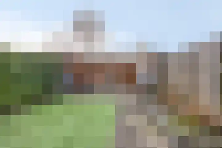 Barnewinkel 703 Apeldoorn thumbnail 11