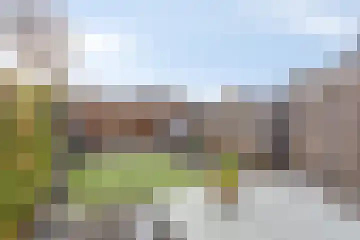 Barnewinkel 703 Apeldoorn thumbnail 12