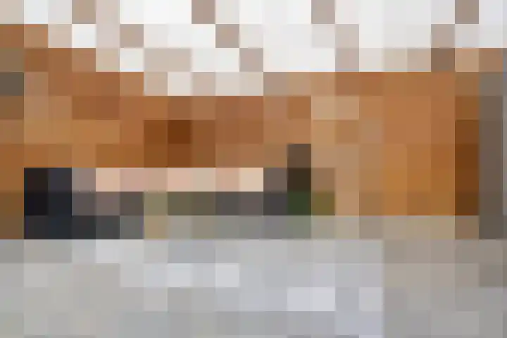 Barnewinkel 703 Apeldoorn thumbnail 13