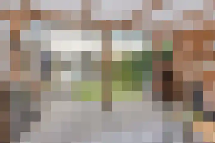 Barnewinkel 703 Apeldoorn thumbnail 14