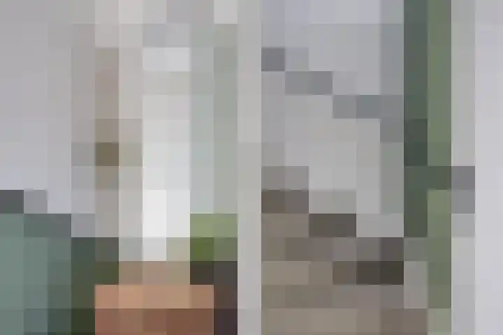 Barnewinkel 703 Apeldoorn thumbnail 26