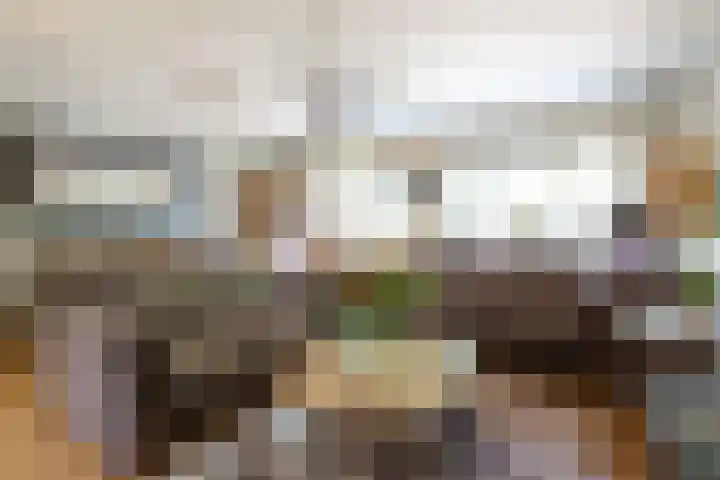 Barnewinkel 810 Apeldoorn thumbnail 10