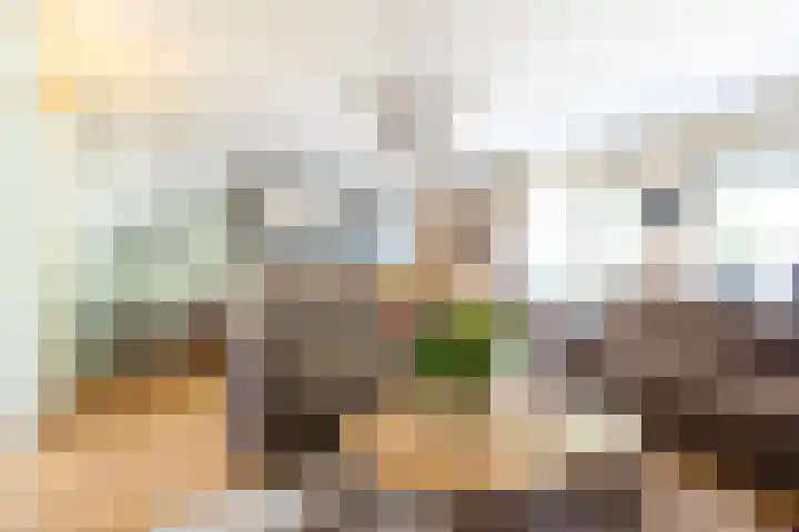 Barnewinkel 810 Apeldoorn thumbnail 11
