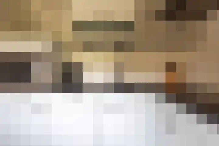 Barnewinkel 810 Apeldoorn thumbnail 17