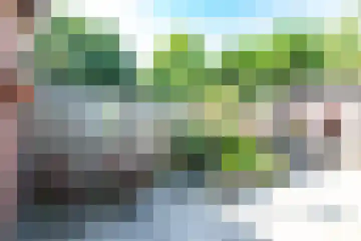 Barnewinkel 810 Apeldoorn thumbnail 23