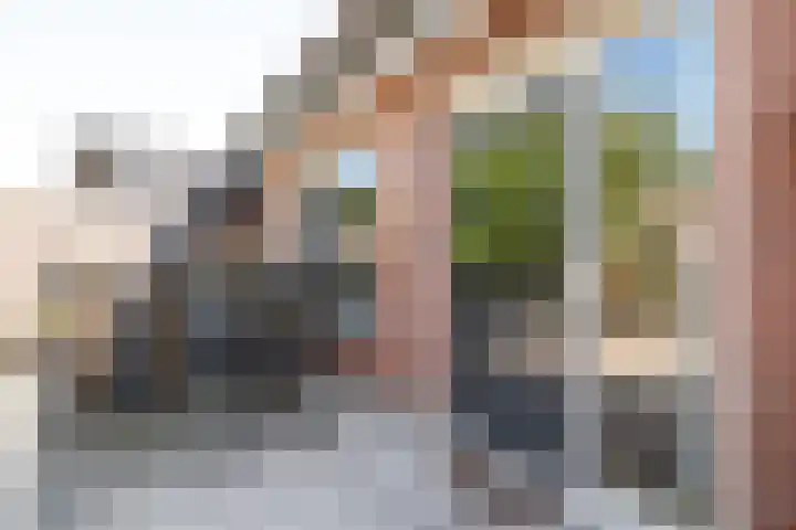 Barnewinkel 810 Apeldoorn thumbnail 24