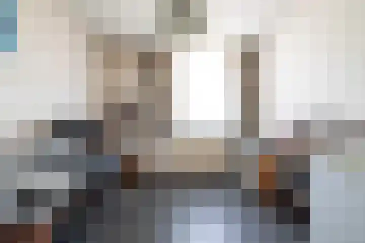 Barnewinkel 810 Apeldoorn thumbnail 25