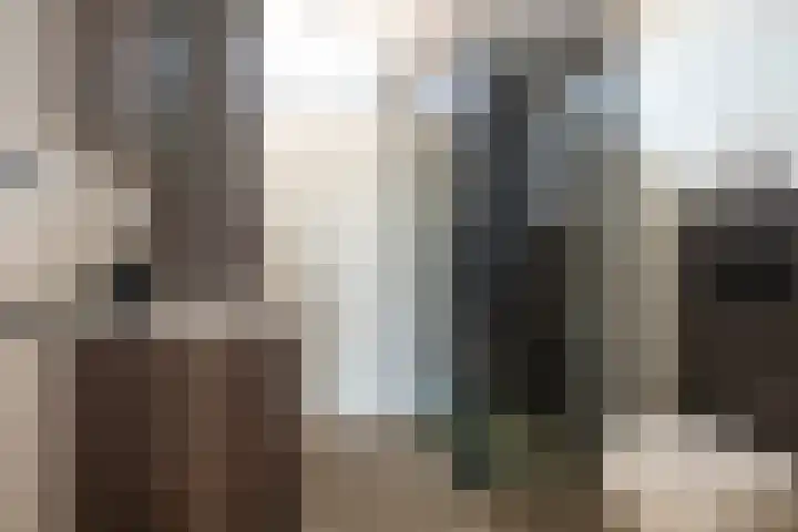Barnewinkel 810 Apeldoorn thumbnail 31