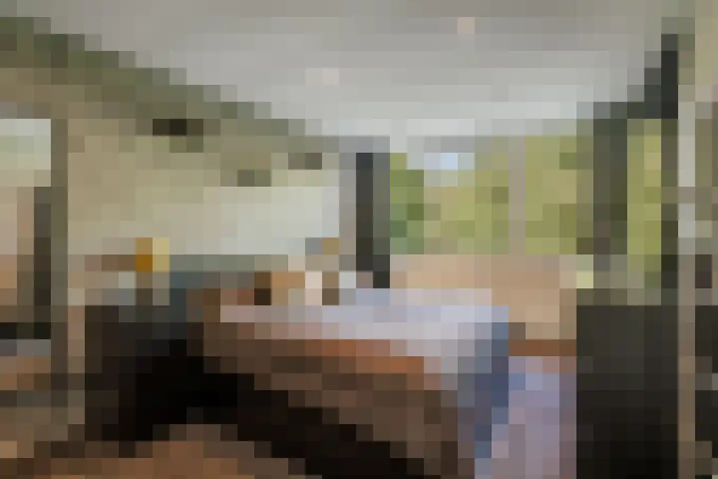 Barnewinkel 903 Apeldoorn thumbnail 29
