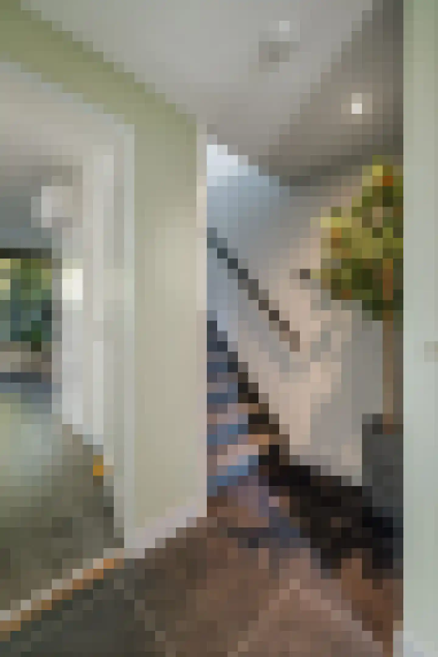 Barnewinkel 903 Apeldoorn thumbnail 40