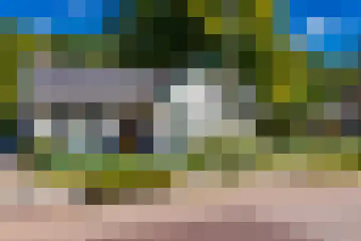 Barnflair Oost 13 Ter Apel thumbnail 11