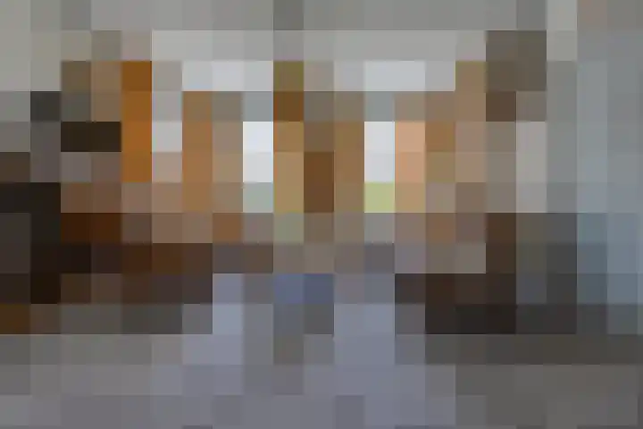 Barnflair Oost 13 Ter Apel thumbnail 13