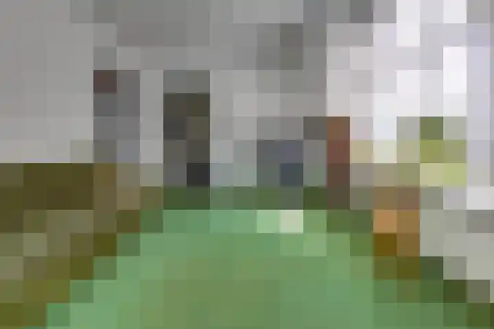 Barnflair Oost 13 Ter Apel thumbnail 17