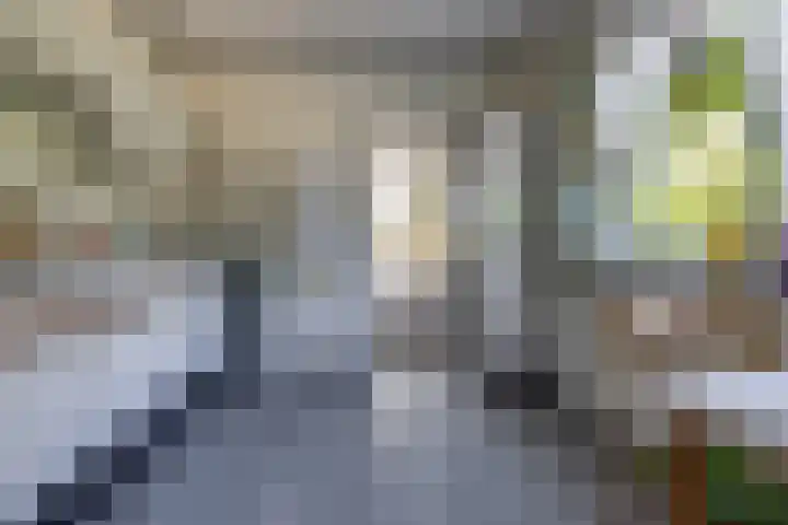 Barnflair Oost 13 Ter Apel thumbnail 30