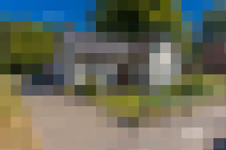 Barnflair Oost 13 Ter Apel thumbnail 4