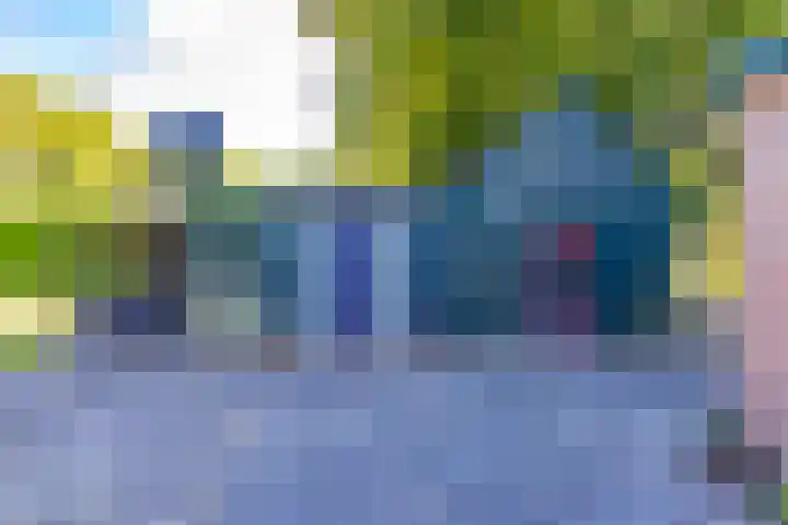 Barnflair Oost 13 Ter Apel thumbnail 40