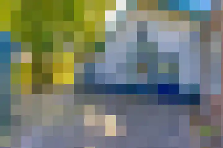 Barnflair Oost 13 Ter Apel thumbnail 41