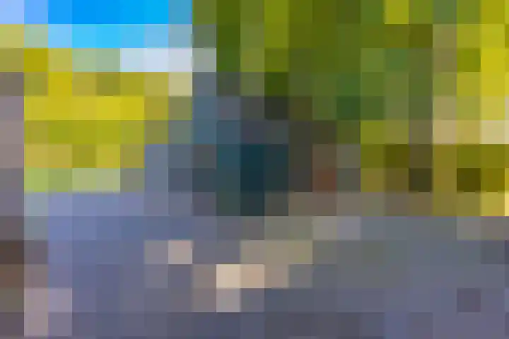 Barnflair Oost 13 Ter Apel thumbnail 42
