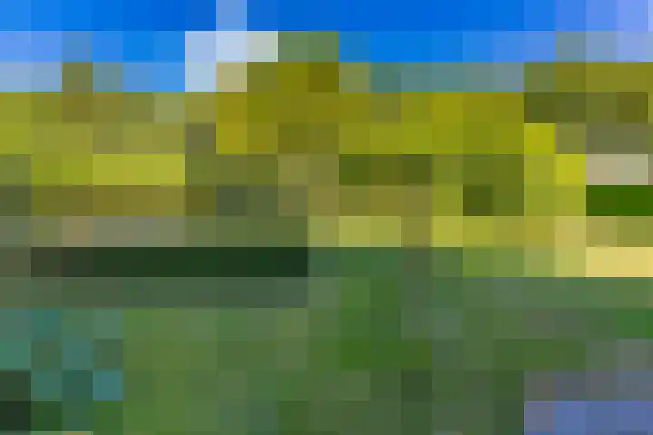 Barnflair Oost 13 Ter Apel thumbnail 43