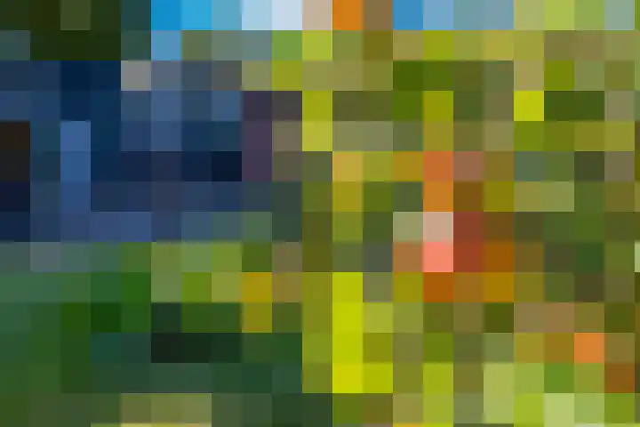 Barnflair Oost 13 Ter Apel thumbnail 44