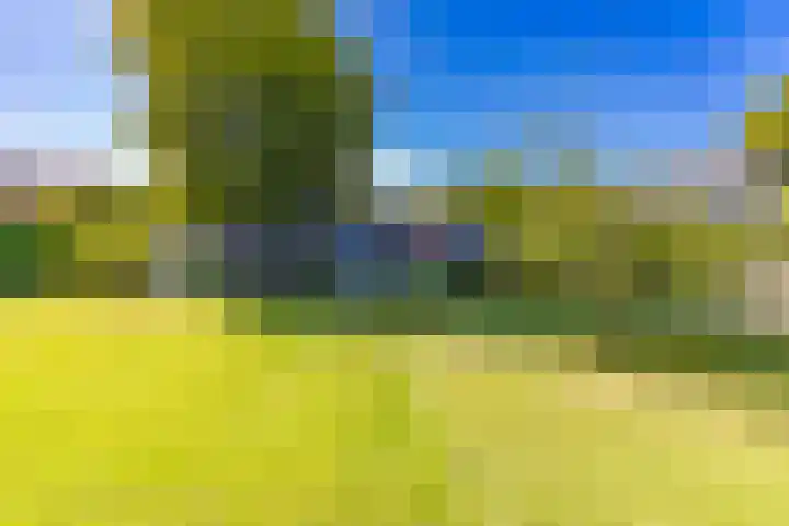 Barnflair Oost 13 Ter Apel thumbnail 45