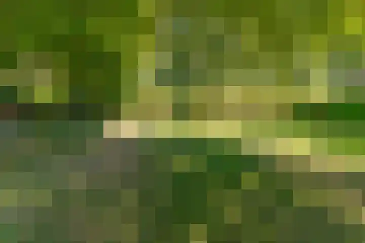 Barnflair Oost 13 Ter Apel thumbnail 46