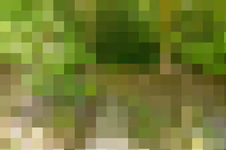 Barnflair Oost 13 Ter Apel thumbnail 47