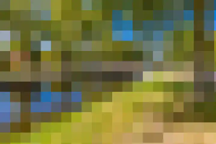 Barnflair Oost 13 Ter Apel thumbnail 6
