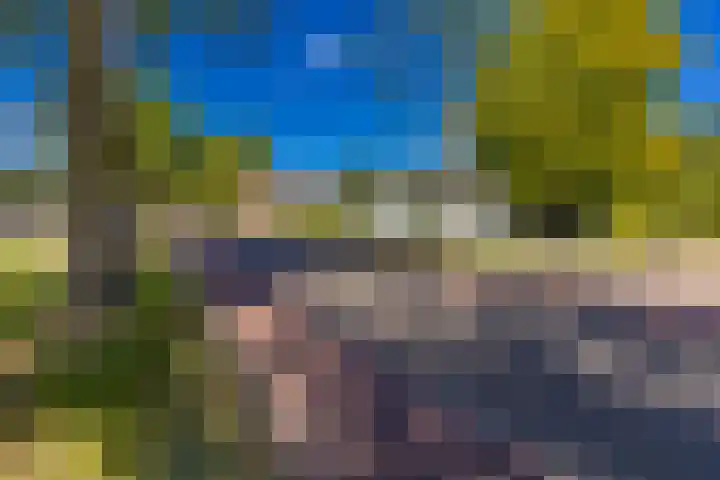 Barnflair Oost 13 Ter Apel thumbnail 7