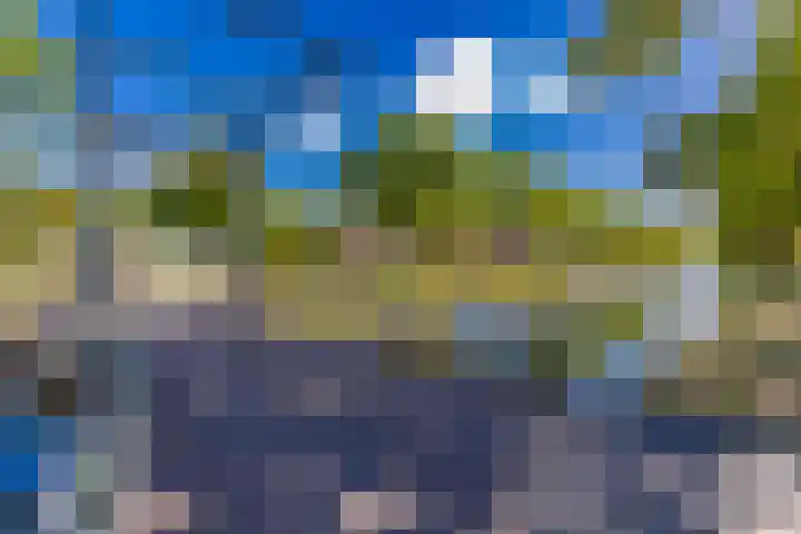Barnflair Oost 13 Ter Apel thumbnail 8