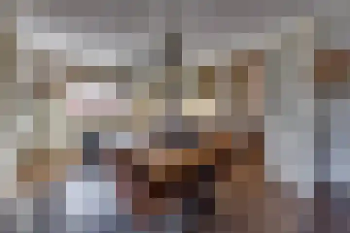 Barnflair Oost 25 a Ter Apel thumbnail 14