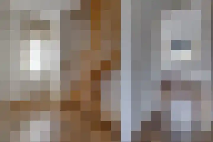 Barnflair Oost 25 a Ter Apel thumbnail 21