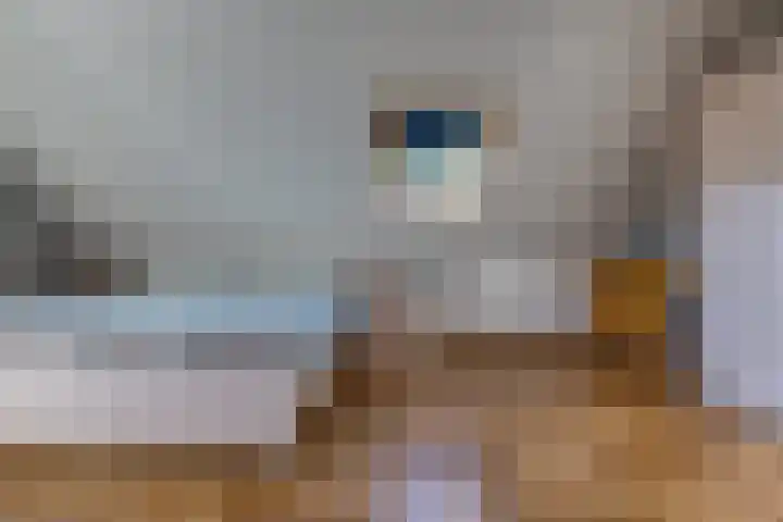 Barnflair Oost 25 a Ter Apel thumbnail 22