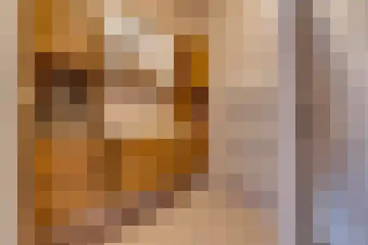 Barnflair Oost 25 a Ter Apel thumbnail 27