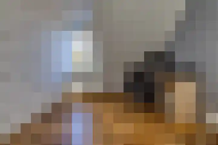 Barnflair Oost 25 a Ter Apel thumbnail 31