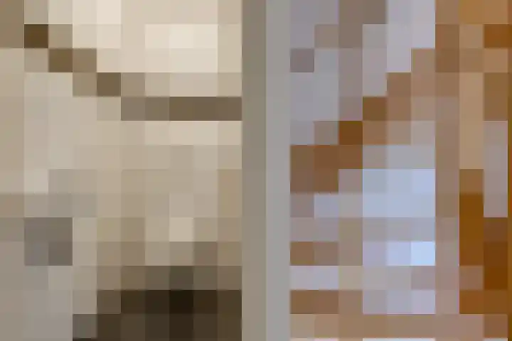Barnflair Oost 25 a Ter Apel thumbnail 33