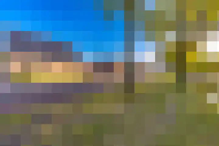 Barnflair Oost 25 a Ter Apel thumbnail 4